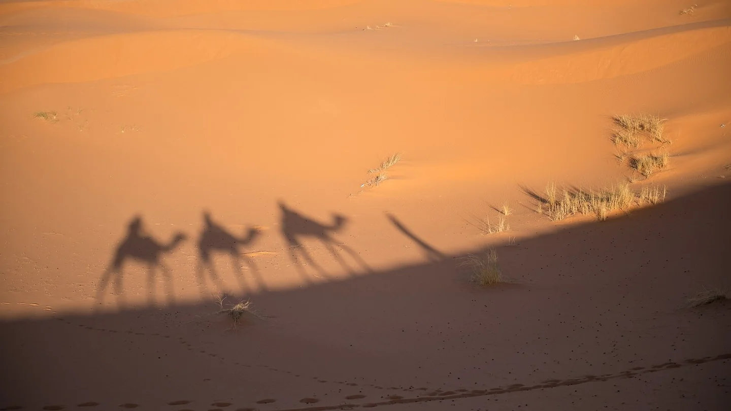 Camel trek across the Erg Chebbi dunes near Merzouga, Morocco in April